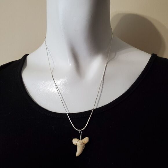 18K White Gold Plated Sharks Tooth Necklace - Picture 3 of 5